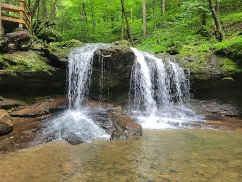 Frozen Head State Park, Tennessee, USA